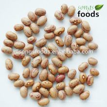 Dried Round Shape Light Speckled Beans, Huanan Origin